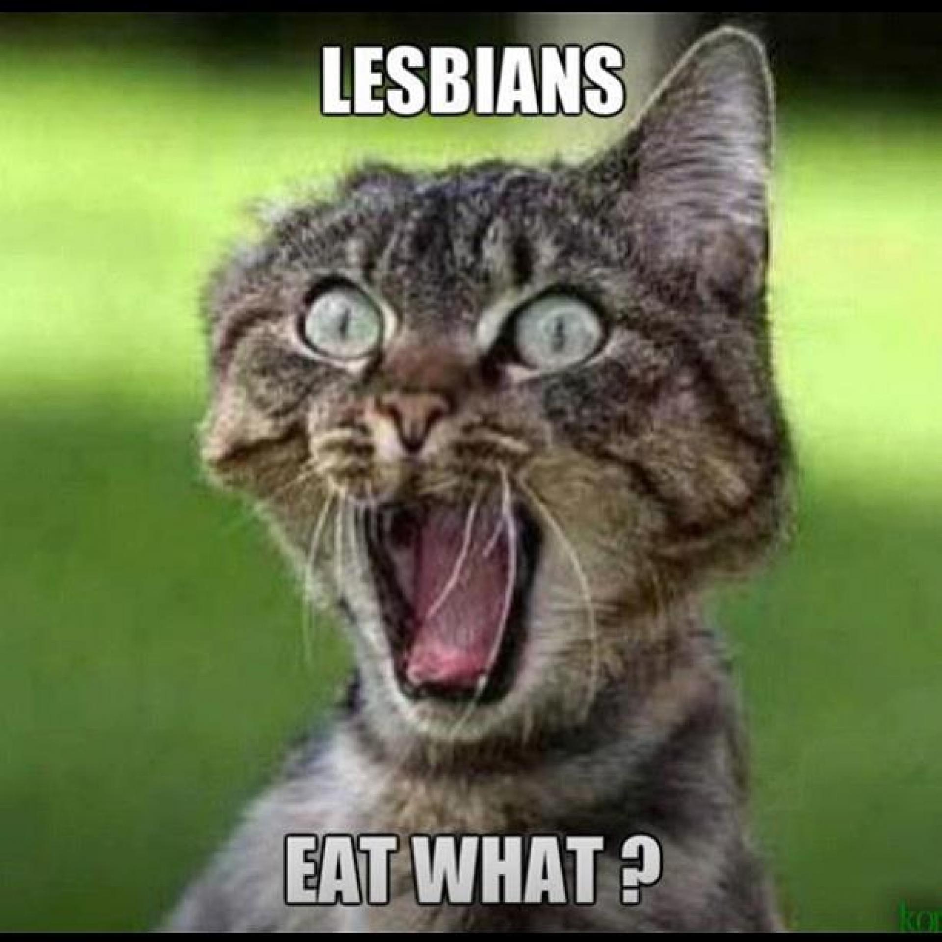 Lesbians eat what?