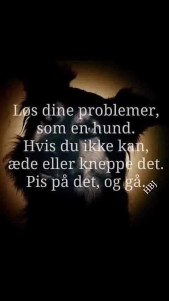Løs dine problemer som en hund. Hvis ikke du kan æde det eller kneppe det. Pis på det og gå