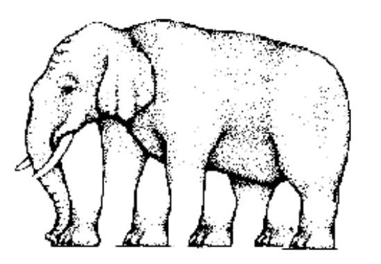 Elefant synsbedrag
