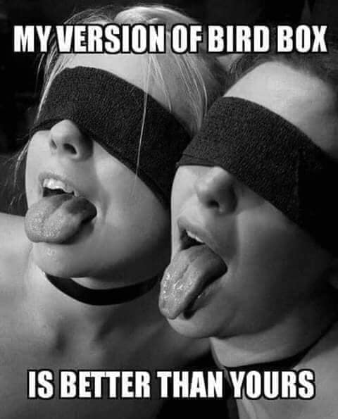My version of Bird Box is better than yours