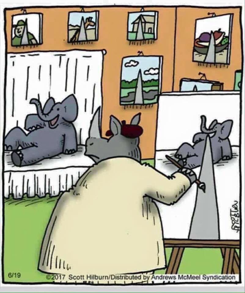 Næsehorns kunster